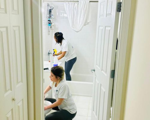 Bathroom cleaning cleaning