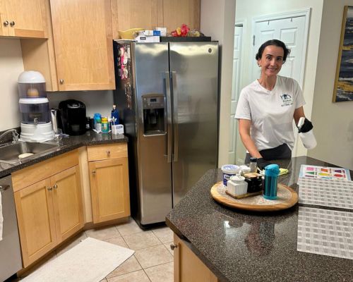 Professional Kitchen Cleaning & Organization in Boston