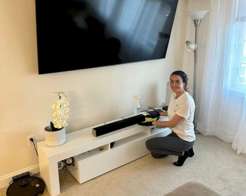 Living room cleaning