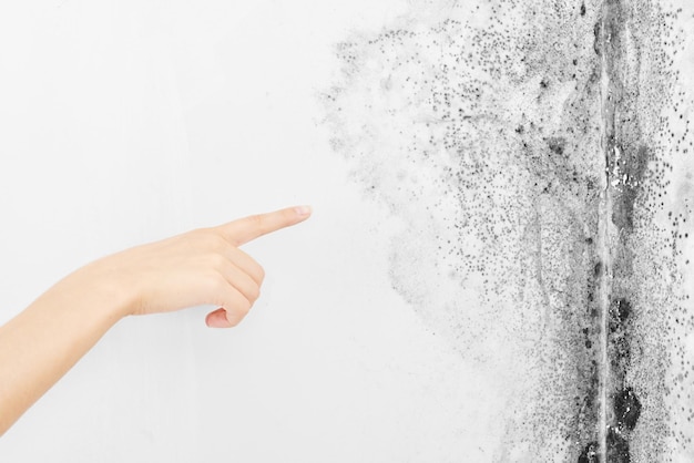Photo mold. aspergillus. the finger of the hand points to the black fungus on the white wall.
