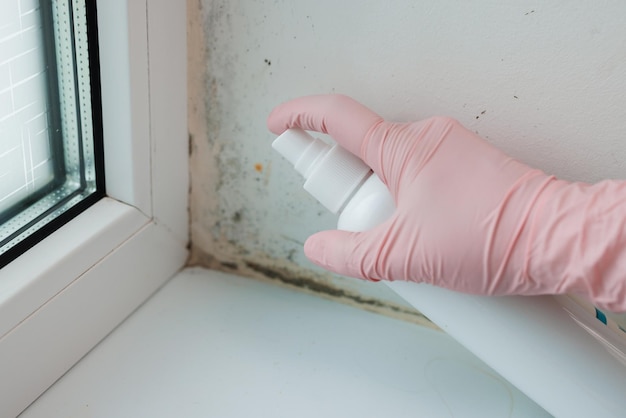 Photo molded bathroom and person in professional protection suit spraying chemicals to kill the mold